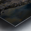 ANI 02189 Metal print