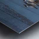 BIR 02193 Metal print