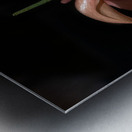 FLO 02286 Metal print