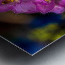 FLO 02267 Metal print