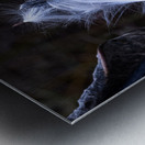 FLO 02312 Metal print