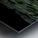 FLO 02302 Metal print