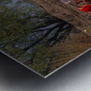 MIS 02176 Metal print