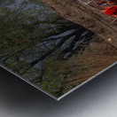 MIS 02367 Metal print