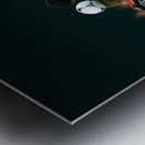 ACT 02344 Metal print