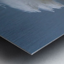 WAT 02334 Metal print