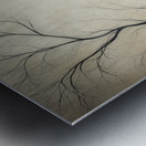 ABS 02553 Metal print
