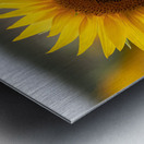 FLO 02580 Metal print