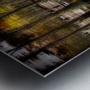 LAN 02585 Metal print