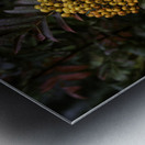 FLO 00453 Metal print