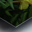 FLO 00515 Metal print