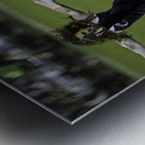 ACT 01382 Metal print