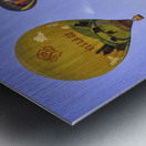 ACT 01355 Metal print