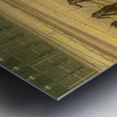 ACT 01392 Metal print