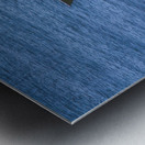 ACT 01681 Metal print