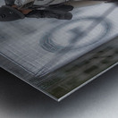 ACT *01678 Metal print