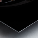 FLO 01818 Metal print