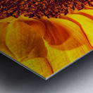 FLO 01764 Metal print