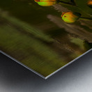 FLO 01759 Metal print