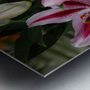 FLO 01810 Metal print