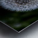 FLO 01805 Metal print