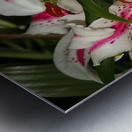 FLO 01811 Metal print