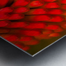 FLO 01822 Metal print