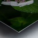 FLO 01773 Metal print