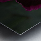 FLO 01799 Metal print