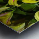 FLO 01809 Metal print