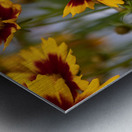 FLO 01801 Metal print