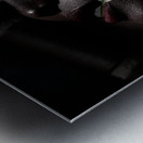 PEO 01852 Metal print