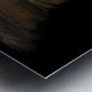 MIS 01903 Metal print