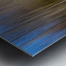 ABS 01971 Metal print