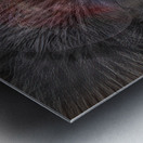 ABS 02011 Metal print