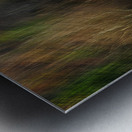 ABS 01968 Metal print