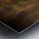 ABS 02020 Metal print