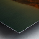 LAN 02049 Metal print