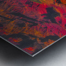 LAN 02070 Metal print