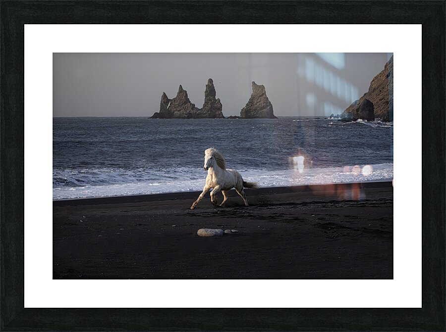 ANI 02126 Picture Frame print