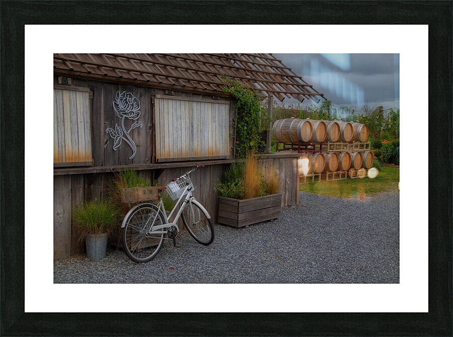 BAR 02120 Picture Frame print