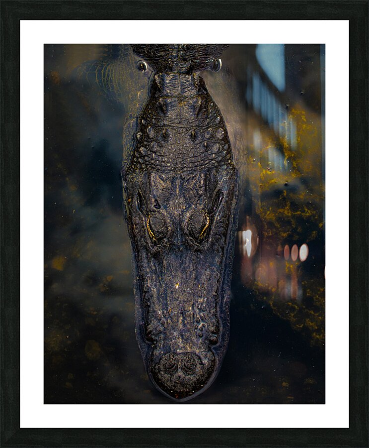 ANI 02189 Picture Frame print