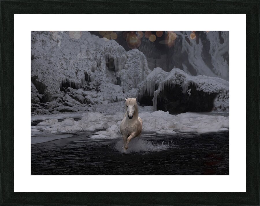ANI 02303 Picture Frame print