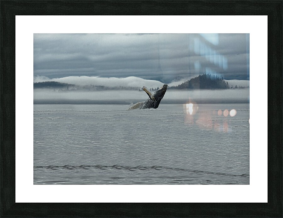 ANI 02338 Picture Frame print