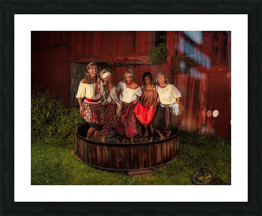 BAR 02339 Picture Frame print
