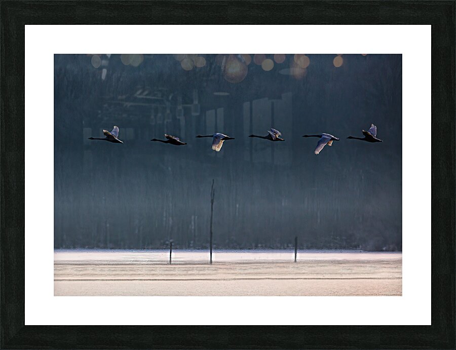 BIR 02168 Picture Frame print