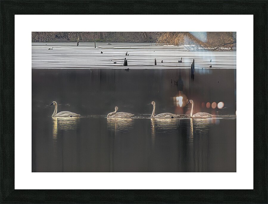 BIR 02363 Picture Frame print
