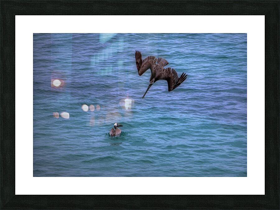 BIR 02241 Picture Frame print