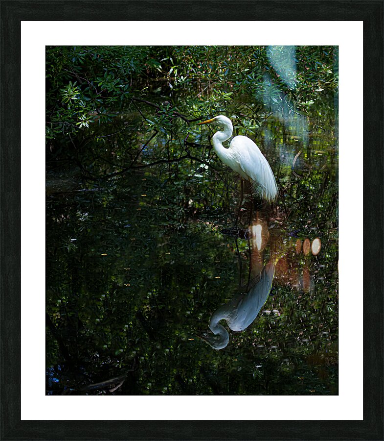 BIR 02196 Picture Frame print