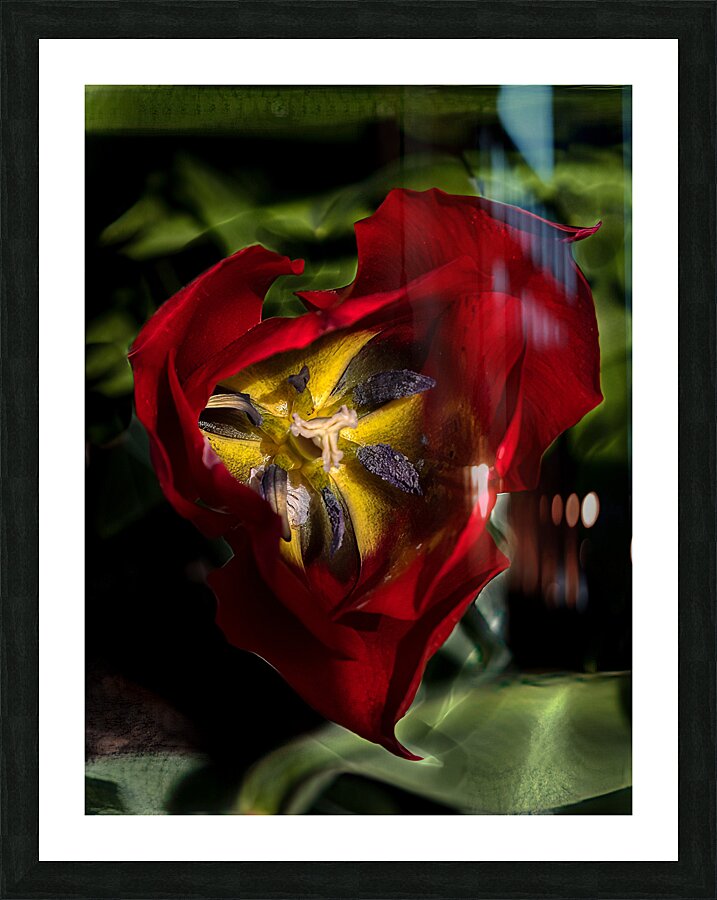 FLO 02202 Picture Frame print